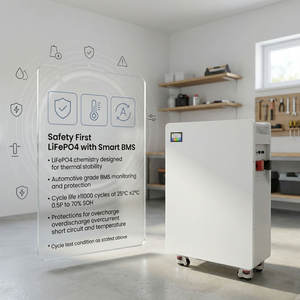 16kWh LiFePO4 <b>Home</b> Energy Storage <b>Battery</b> Pack 51.2V 314Ah <b>Backup</b> Power <b>for</b> Residential Solar - Product Image 5