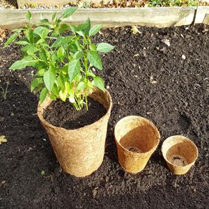 Pot de fleurs en Fiber de noix de coco, écologique pour la décoration de jardin domestique - Product Image 6