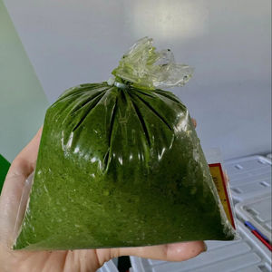 มีใบมันสำปะหลัง - Product Image 1