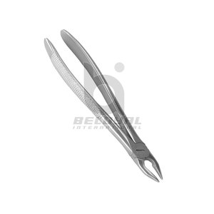 Fórceps de retención apical Fórceps de extracción quirúrgica dental Fórceps de retención apical Instrumento de extracción de dientes - Product Image 6
