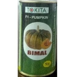 Pumpkin