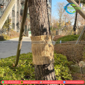 ARTÍCULO CALIENTE Práctica ESTERA DE SEDGE Producida en Vietnam para crear caminos y alfombras seguros y elegantes - Product Image 3