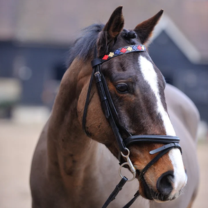 Banda de cejas de cuero de diseño personalizado para caballos, cristales únicos decorados, productos elegantes para caballos, bandas de cejas de caballo de canal vacío - Product Image 4