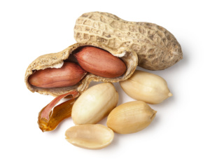 TOP QUALITY <strong>PEANUT</strong> for SALE / <strong>PEANUT</strong> Available/GROUNDNUT/ HOT SELLING <strong>PEANUT</strong> Available at Wholesale Prices - Product Image 4