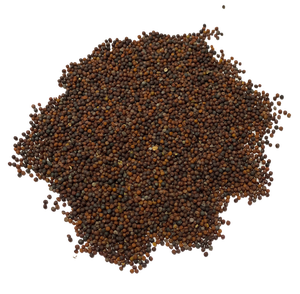 Semilla de canola de alta calidad de Australia para la extracción de aceite comestible y cultivo de alimentos-Proveedor mayorista - Product Image 2