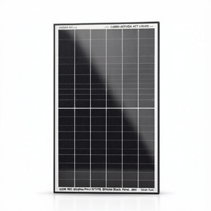 Panel Solar Bifacial Negro HJT Tipo N REC Alpha Pro-M de 630W - Product Image 2