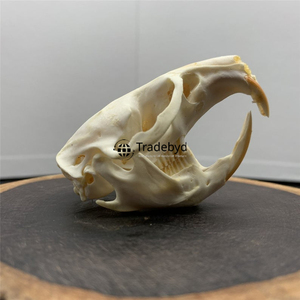 Tradebyd Statue sculptée d'animaux en résine de luxe Figurine unique faite à la main pour les collectionneurs et les intérieurs de maison modernes - Product Image 3