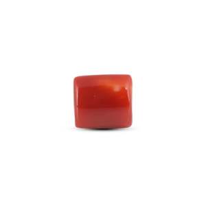 Coral rouge japonais 5,85 carats, pierre précieuse naturelle, coupe ovale polie, hauteur 8 mm, profondeur 3 mm, cornaline - Product Image 1