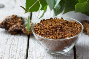 Extrait de Chaga Naturel en Vrac Qualité Exportation Produit à partir de Champignon Inonotus Obliquus Source pour Usage Alimentaire et Botanique - Product Image 6