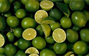 PRIX BON MARCHÉ VERT LIME SANS GRAINES LIME FRAIS SANS GRAINES DE BLEU LOTUS VIETNAM 2025 - Product Image 2
