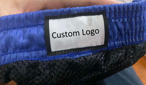 OEM Custom Manufacturer High Quality Unisex Mens Basketball Sublimation Polyester Double <b>Layer</b> 5 Inch Inseam Mesh Shorts - Product Image 4