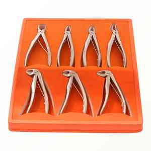 Recién llegado, juego de 10 instrumentos dentales de acero inoxidable, fórceps de extracción Dental, instrumentos quirúrgicos dentales de extracción - Product Image 2