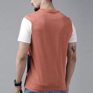 Style de luxe haute qualité 100% coton tricoté T-shirt pour hommes en 10 couleurs respirant écologique Fitness Options de vêtements - Product Image 3