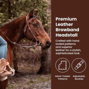 Brida y cabestro ajustable de cuero Premium con hebilla de acero inoxidable Bridas de cuero de caballo Premium - Product Image 2