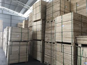 Bois lamellé-collé LVL, âme en eucalyptus, pour meubles et construction, qualité supérieure, 11-120 mm - Product Image 3