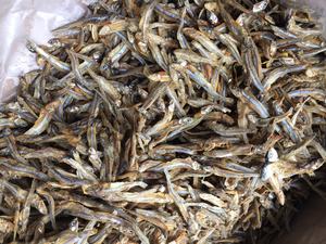 Pescado salado y seco Anchoa Hervida Sin cabeza Secado Envase de embalaje Buen precio Playa - Product Image 3