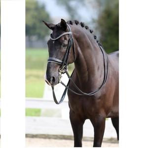 Meilleure nouvelle bride en cuir de cheval anatomique de qualité supérieure en cuir véritable Poco bride pour cheval - Product Image 3