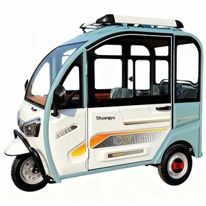 Tricycle électrique Falcon à carrosserie fermée, 3 places, petit véhicule familial pour femmes et enfants, scooter <span class=keywords><strong>de</strong></span> mobilité pour <span class=keywords><strong>personnes</strong></span> âgées - Product Image 1