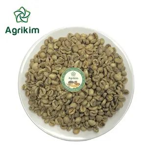 High Quality Premium Grade Green Coffee Bean Factory Supplier Pure Green Coffee Bean Hot Selling Made in Vietnam