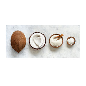 Noix de coco de haute qualité, séchées et matures, en vrac, fournisseur en gros, exportateur, directement de l'usine, pour les détaillants, les commerçants et les distributeurs de noix - Product Image 4