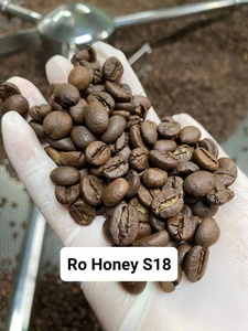 Café en Grano Tostado [Honey Robusta] 100% Robusta, Proceso Honey S16/S18, Nivel de Tueste Personalizable, Empaque a Granel 20kg/bolsa, Gia Lai VN - Product Image 2