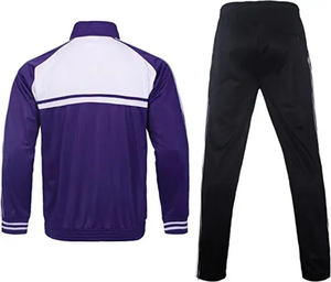 INDEX APPAREL Men's Purple <b>White</b> Color Blocking <b>Tracksuit</b> Set Full Length Zipper Stand Collar Sporty Style Autumn Wear - Product Image 2