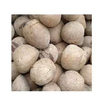 Hot Selling Essbare Kokosnuss Weiß Kopra Großeinkauf Trocknen Obst Trockene Kokosnuss Kopra/Ganze getrocknete Kokosnuss Export