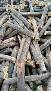 Leña natural-Leña con precio competitivo-Estufas de leña-Exportación de leña de madera dura para EE. UU., Mercado DE LA UE - Product Image 3