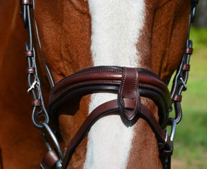 Burghley Flash Bridle Products Correa de carreras de cuero trenzado duradero Entrenamiento para caminar para suministros para mascotas medianas y grandes - Product Image 4