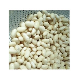 Vente en gros bon marché de haricots blancs de qualité supérieure en vrac Haricots blancs organiques à forte valeur ajoutée Blanc sec - Product Image 1
