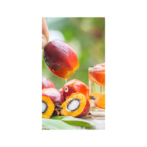 น้ำมันปาล์มวัสดุใหม่ - Product Image 2