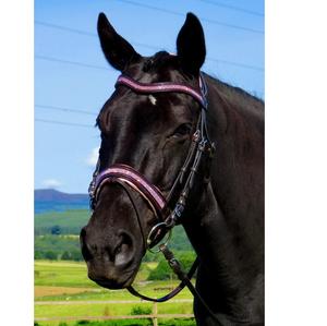 Stanford Anatomique Snaffle Bridle Western Style Cheval En Cuir Headstall avec Rênes Logo Personnalisé Option - Product Image 1
