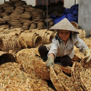 พรมผักตบชวาธรรมชาติที่ทนทานทำด้วยมือสำหรับตกแต่งบ้าน - Product Image 6