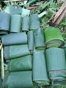 Exportateur en gros de feuilles de bananier fraîches du Vietnam, fournissant des feuilles naturelles et propres pour une utilisation culinaire et d'emballage - Product Image 4