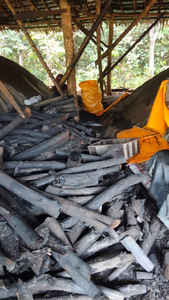 Kachi-Carbón de cáscara de madera, briquetas de carbón activado para barbacoa de cocción rápida - Product Image 6