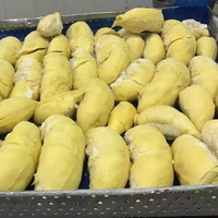Natuurlijke Bevroren Durian Vietnam Schoon Verwerkt Premium Fruit Betrouwbare Exportleverancier