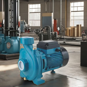 משאבת מים צנטריפוגלית חד פאזית 0.5 כוחות סוס, נירוסטה 304, בעלת יכולת שאיבה עצמית, לחץ גבוה, לשימוש תעשייתי - Product Image 5