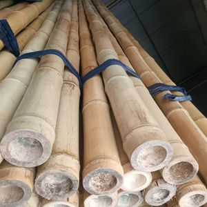 Estacas de jardín ecológicas | Bambú tratado a medida | Fabricante Vietnam | Suministro mayorista - Product Image 5