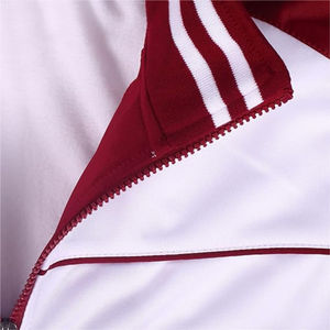2025 Diseño personalizado Trajes de sudor de alta calidad Venta al por mayor Ropa deportiva unisex Ropa deportiva Chándales Conjuntos Joggers en blanco Trajes Conjuntos - Product Image 6