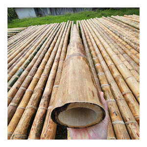 Poteaux en bambou/canne en bambou/poteau traité en bambou 100% Nature bambou du Vietnam pour la construction clôture séchée - Product Image 3