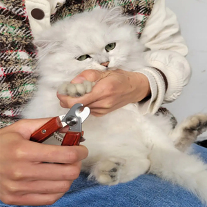 Flamia jabz กรรไกรตัดเล็บสัตว์เลี้ยงทำจากสแตนเลสเป็นมิตรกับสิ่งแวดล้อมอุปกรณ์ทำความสะอาดสำหรับสุนัขและแมวพร้อมที่จับไม้ - Product Image 6