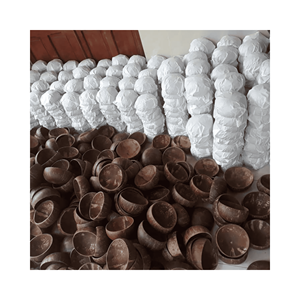 Tazón de Coco Orgánico con Diseño de Concha para Ensaladas y Frutas, Accesorio Artesanal de Estilo de Vida Ecológico en Oferta - Product Image 4