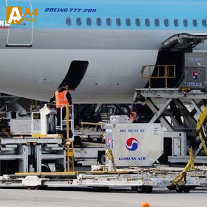 ทุเรียนมันทองออร์แกนิคคุณภาพพรีเมียม สดใหม่ คัดสรรด้วยมือ หั่นพร้อมรับประทาน บรรจุภัณฑ์สุญญากาศ รักษาความสดได้ดีเยี่ยม - Product Image 3