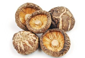 CHAMPIGNON SHITAKE SEC TIGE CHAMPIGNONS SHITAKE PIEDS EN GROS PRIX BON MARCHÉ - Product Image 5