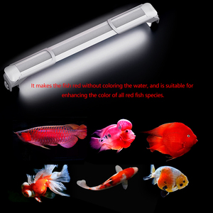 Lumière LED <span class=keywords><strong>pour</strong></span> <span class=keywords><strong>aquarium</strong></span> Red Dragon, amélioration de la couleur, trois couleurs primaires <span class=keywords><strong>pour</strong></span> perroquet, <span class=keywords><strong>poisson</strong></span> <span class=keywords><strong>rouge</strong></span>, koï, éclairage de réservoir de poissons - Product Image 3