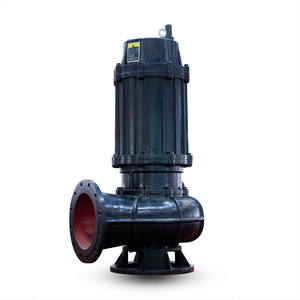 Pompe à eaux usées en fonte pour le transfert de déchets solides - Product Image 1