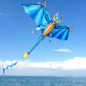 Cerfs-volants en plastique Dragon Feu et Glace - Product Image 4