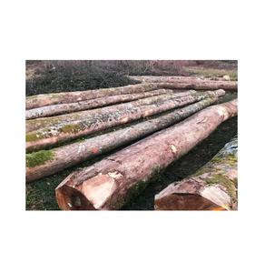 Limited Time Offer on Bulk Padauk <b>Wood</b> <b>Logs</b> Get Premium <b>Wood</b> for Your Projects Without Breaking the Bank - Product Image 4