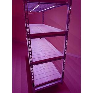 Chariot en treillis métallique avec kit d'éclairage LED pour micro-légumes - Quatre roues en PU, personnalisable OEM - Product Image 5
