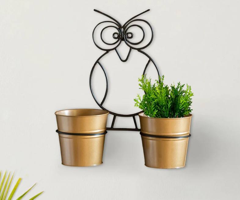 ตามที่แสดง